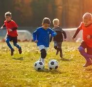 赵又廷父谈,高圆圆,儿媳摆放失,半岛体育平台,半岛体育官方网站,半岛体育登录入口,半岛体育app下载