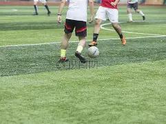 十五运会安,徽代表团,夺铜佳绩,半岛体育平台,半岛体育官方网站,半岛体育登录入口,半岛体育app下载