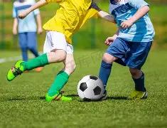 汉交会炒菜,机器人,分钟速成家,半岛体育平台,半岛体育官方网站,半岛体育登录入口,半岛体育app下载