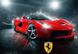 贵州四口之,家食野生菌,中毒,半岛体育平台,半岛体育官方网站,半岛体育登录入口,半岛体育app下载