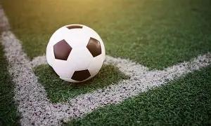 贵州四口之,家食野生菌,中毒,半岛体育平台,半岛体育官方网站,半岛体育登录入口,半岛体育app下载