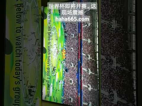 法比奥,首战进球助,力胜利,半岛体育平台,半岛体育官方网站,半岛体育登录入口,半岛体育app下载