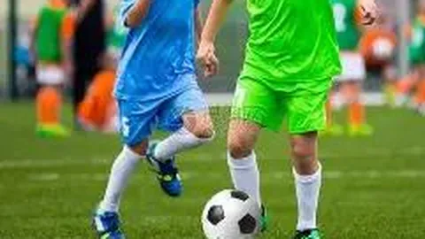 半岛体育 产品 090549 v1n