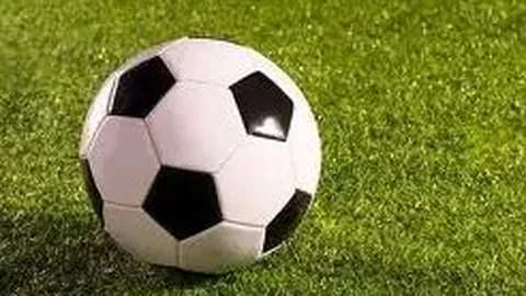 半岛体育 资讯 084548 sr2