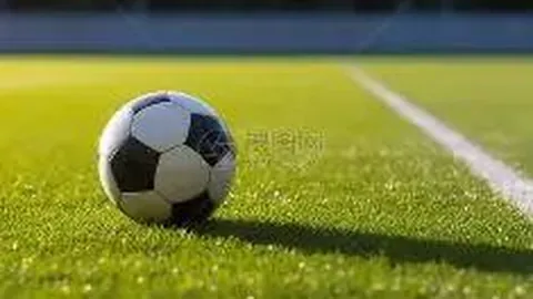 2025体坛年度焦点人物揭晓，孙颖莎等五位运动员荣登榜单