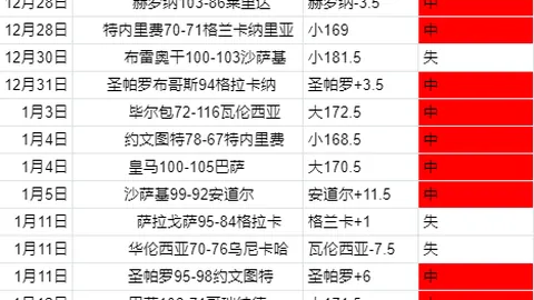 勒沃库森34轮不败，以2-1战胜奥格斯堡，德甲夺冠圆满落幕
